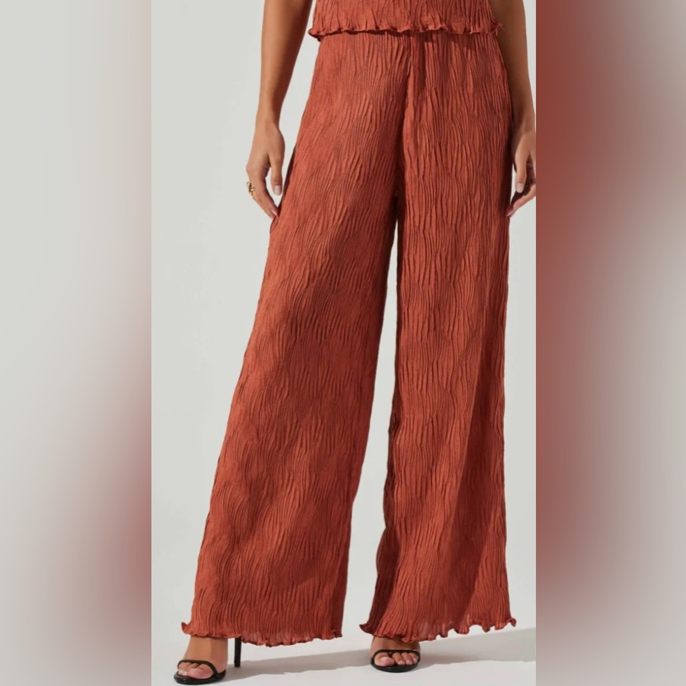 Astr The Label Janesa Pants - NWT - Size XL 
Rust Wide-Leg Pants